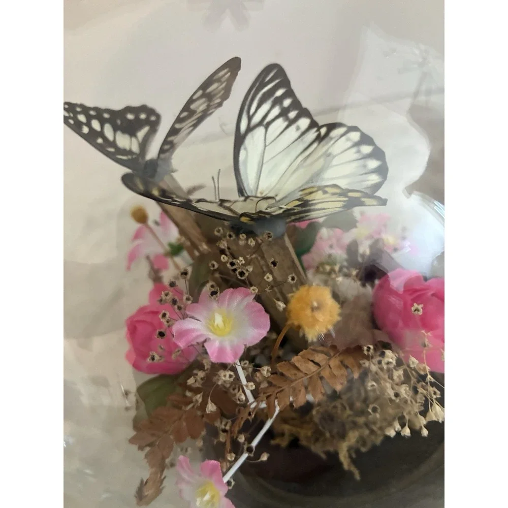 Vintage Butterfly Taxidermy Dried And Faux Pink Flowers In Glass Dome‎ Decor